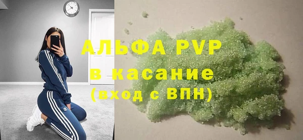прущие грибы Гусь-Хрустальный