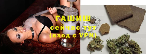 прущие грибы Гусь-Хрустальный