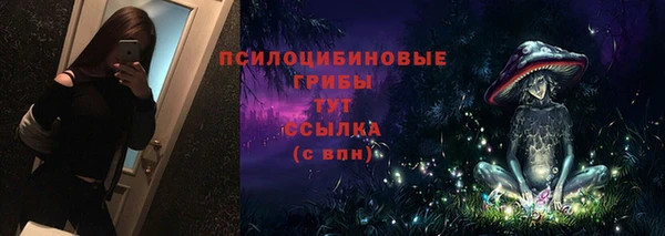 экстази Гусев