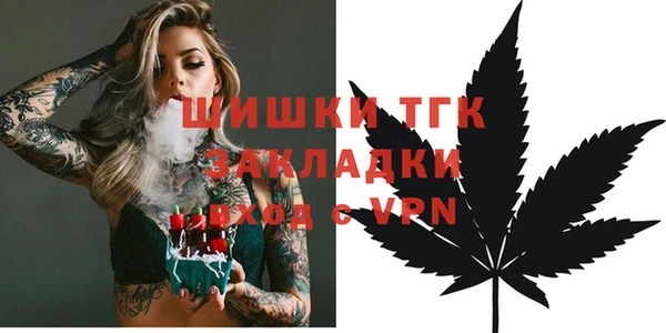 прущие грибы Гусь-Хрустальный