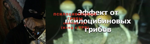 прущие грибы Гусь-Хрустальный