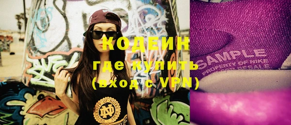 прущие грибы Гусь-Хрустальный
