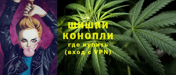 прущие грибы Гусь-Хрустальный