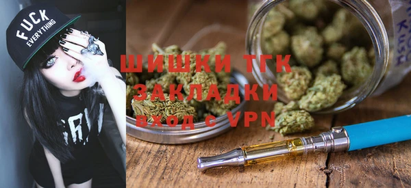 прущие грибы Гусь-Хрустальный