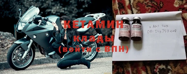 шишки Сосновый Бор