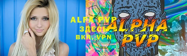 прущие грибы Гусь-Хрустальный