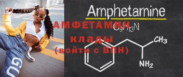 прущие грибы Гусь-Хрустальный