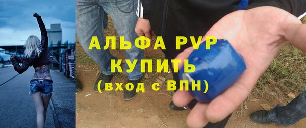 прущие грибы Гусь-Хрустальный