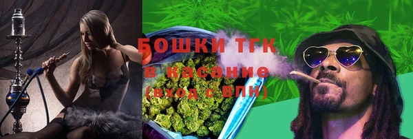 прущие грибы Гусь-Хрустальный