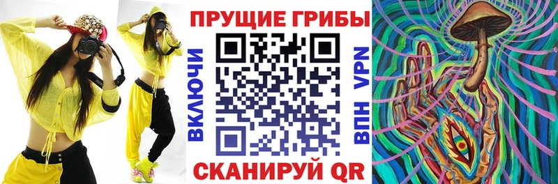 Галлюциногенные грибы ЛСД  МЕГА ONION  Москва 
